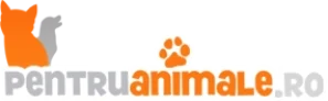 Pentruanimale.ro – Ofertele lunii